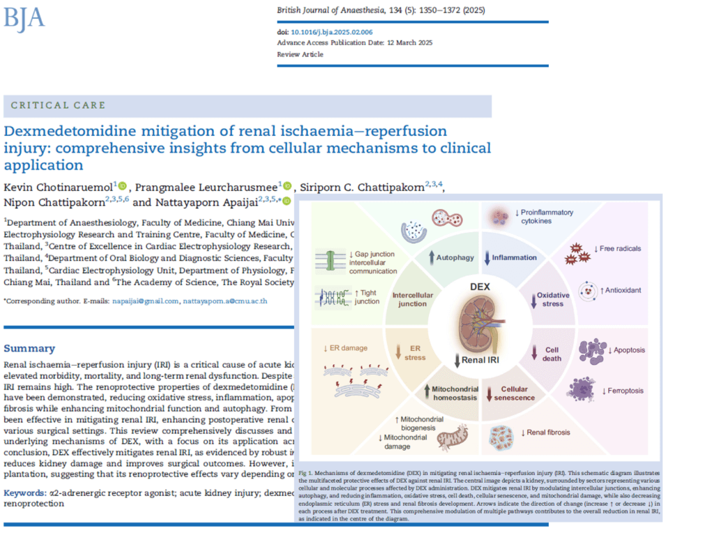 Dexmedetomidine for Renal Ischemia–Reperfusion Injury