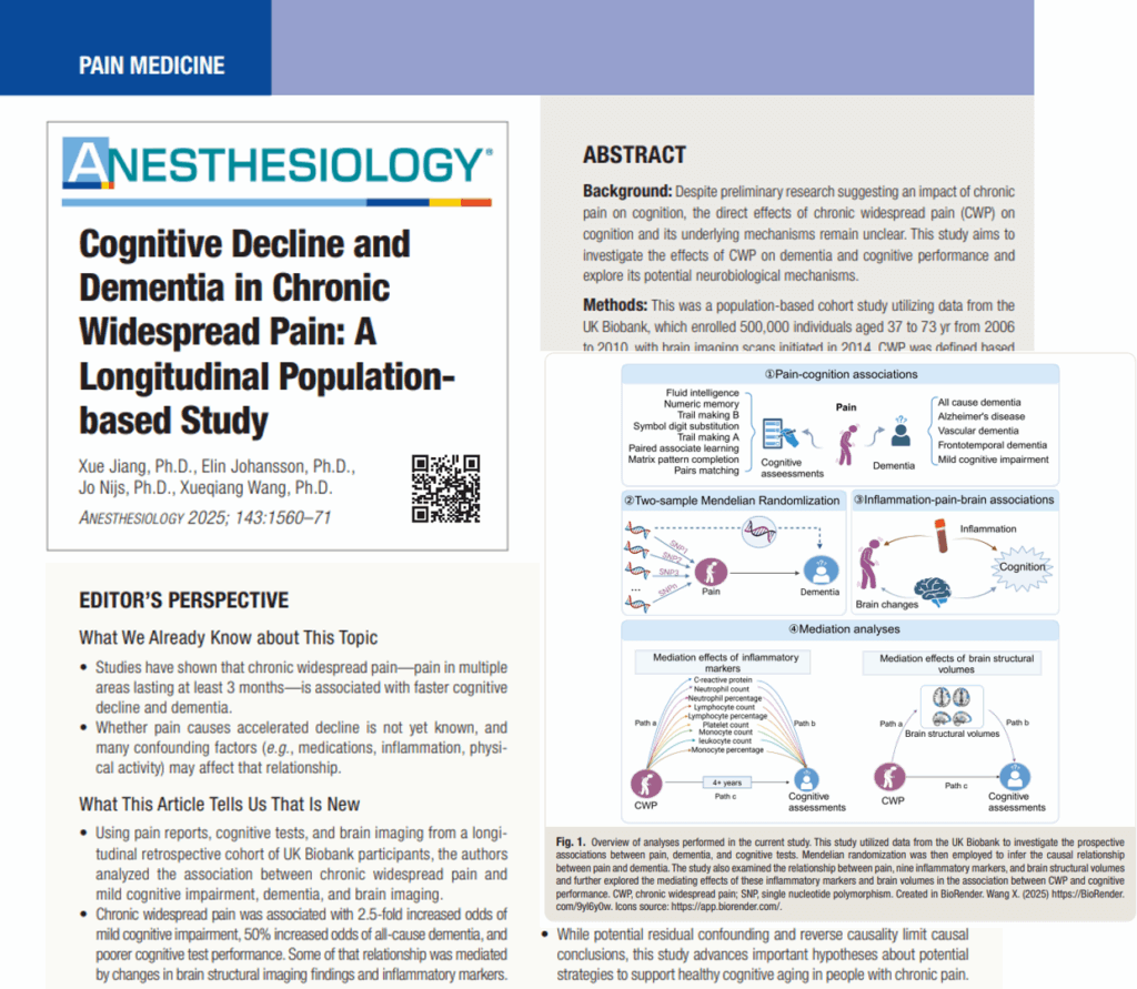 Cognitive Decline and Dementia in Chronic Widespread Pain
