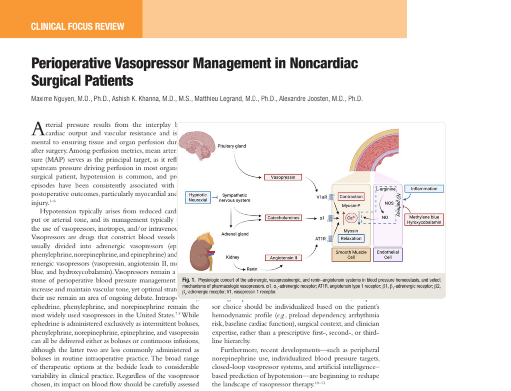 Perioperative vasopressor management in noncardiac surgery
